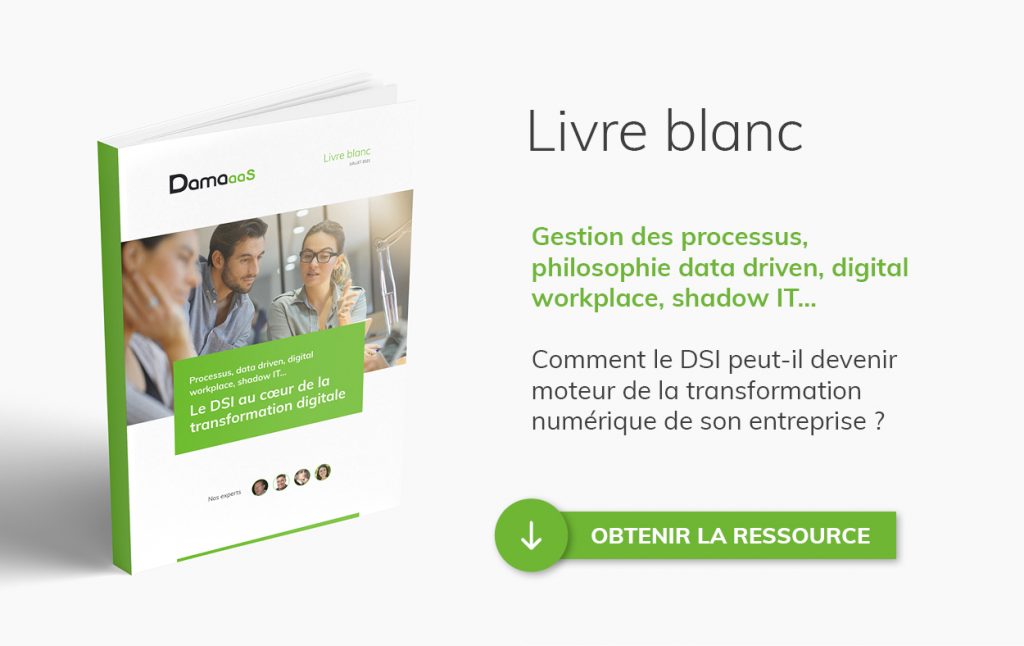 Livre blanc DSI outils 